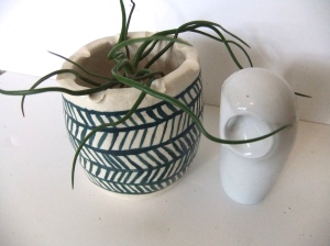 Airplant in ceramic vase made by Stephanie Phillips